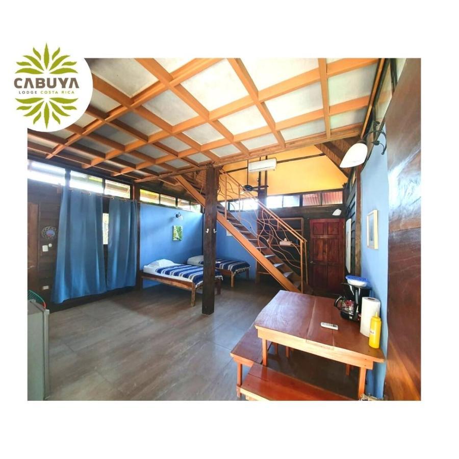 Cabuya Lodge Dış mekan fotoğraf